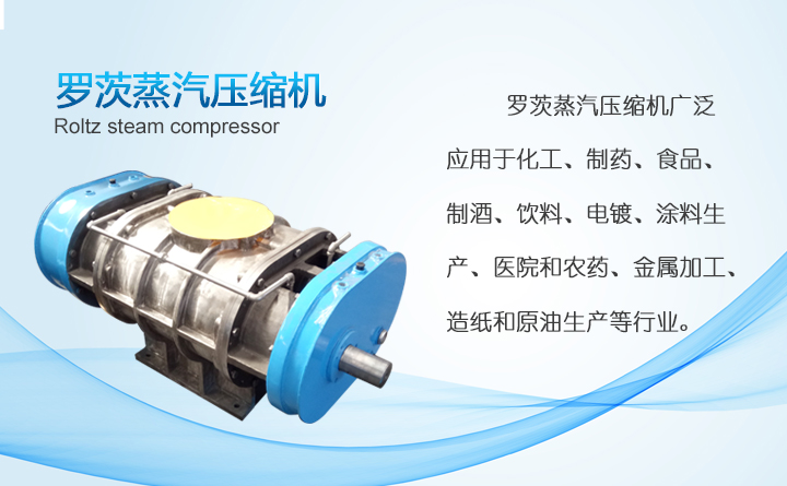 罗茨式蒸汽风机 罗茨式蒸汽风机