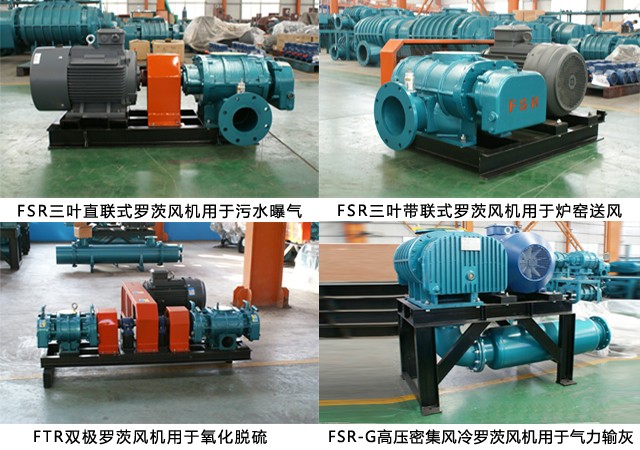 章丘丰源机械三叶罗茨风机结构图多用途展示 章丘丰源机械三叶罗茨风机结构图多用途展示